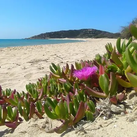 Semesterbostad Larica