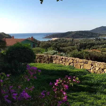 Larica